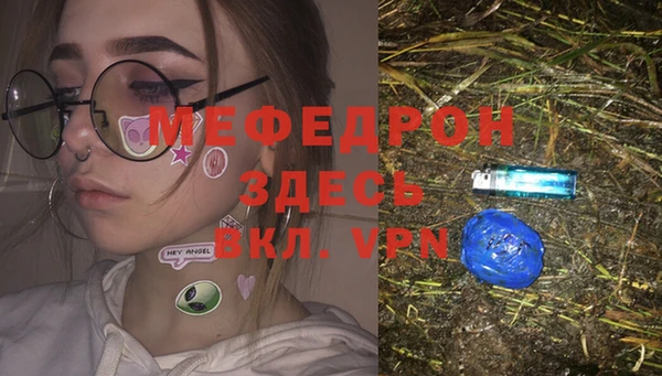 индика Алексин