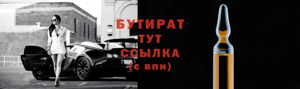 индика Алексин