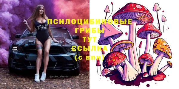 индика Алексин