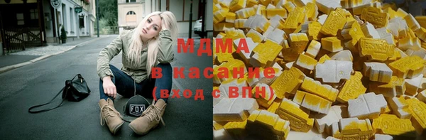 индика Алексин