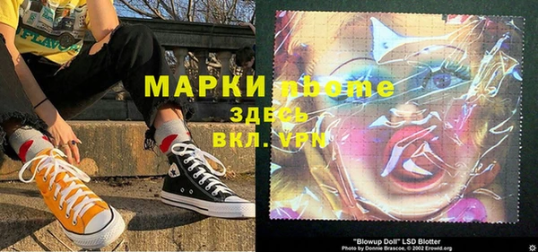 индика Алексин