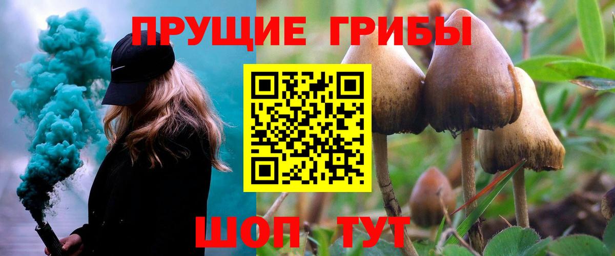 Псилоцибиновые грибы Cubensis  Вход с VPN  Анжеро-Судженск 